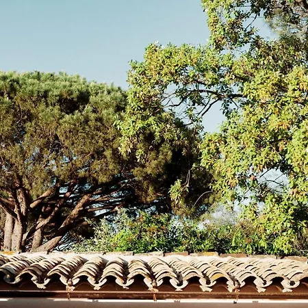 Σπίτι διακοπών Casa Casa, Charmante Maison 3 Avec Jardin